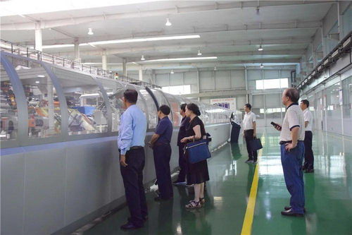 上午,省委咨询组到我市森源集团 黄河旋风调研